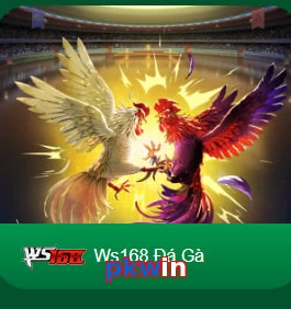 pkwin